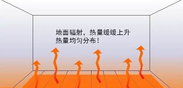 Ϊʲôܲůĵ